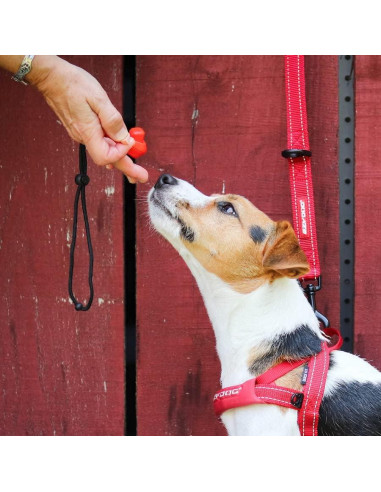 Clicker de Entrenamiento EzyDog Command Ergonómico Negro