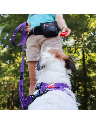 Clicker de Entrenamiento EzyDog Command Ergonómico Negro