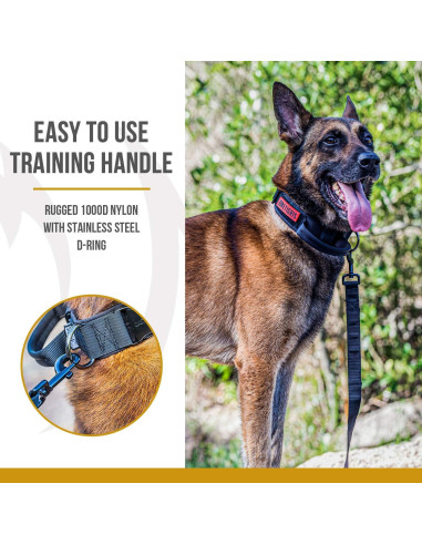 Collar Táctico para Perros OneTigris Negro Ajustable S