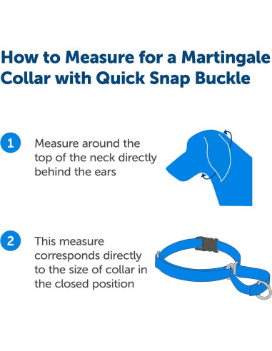 Collar Martingale PetSafe con Hebilla Rápido Desenganche 0.95 cm