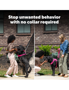 Entrenador Ultrasonico Sin Collar PetSafe - Dispositivo Antibark Portátil 2