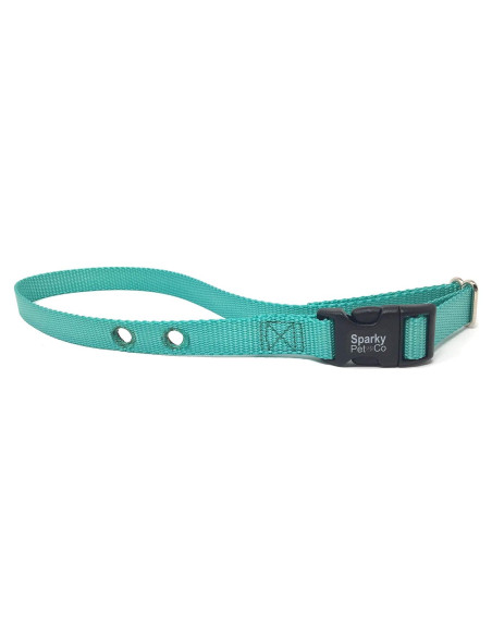 Correa de Nylon Ajustable Sparky Pet Co 3/4" Verde Azulado