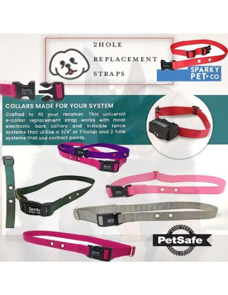 Correa de Nylon Ajustable Sparky Pet Co 3/4" Verde Azulado