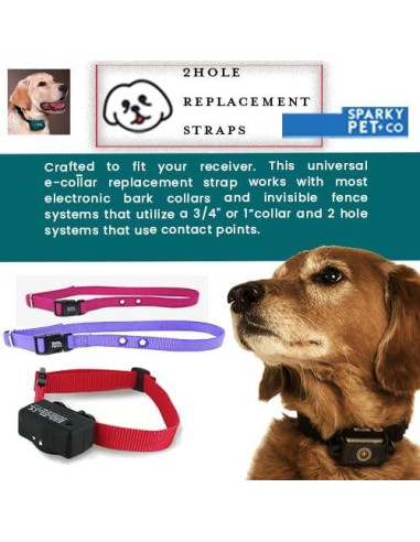 Correa de Nylon Ajustable Sparky Pet Co 3/4" Verde Azulado