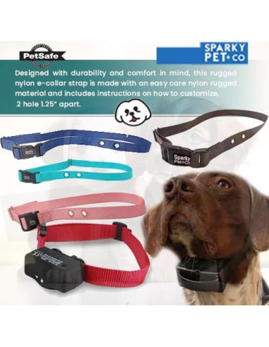 Correa de Nylon Ajustable Sparky Pet Co 3/4" Verde Azulado