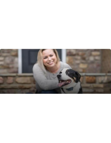 Correa de Nylon Ajustable Sparky Pet Co 3/4" Verde Azulado