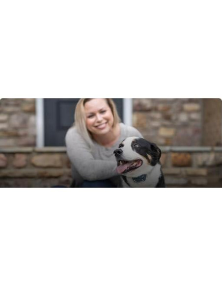 Correa de Nylon Ajustable Sparky Pet Co 3/4" Verde Azulado