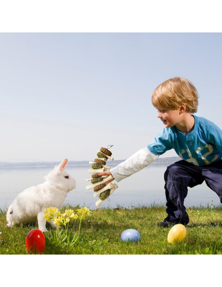 3 Juguetes de Masticar para Conejos Hamiledyi - Pastel de Hierba Natural