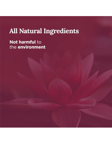 Vela de Afirmación Magnificent 101 - Cera de Soja 170 g - Aroma Salvia y Palo Santo - 35 Horas de Quema