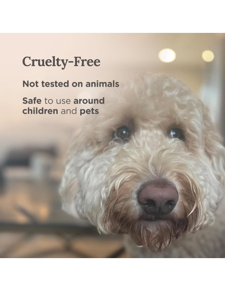 Vela de Afirmación Magnificent 101 - Cera de Soja 170 g - Aroma Salvia y Palo Santo - 35 Horas de Quema