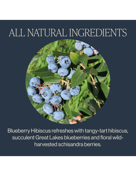 Té de hierbas Rishi Hibisco y Arándano Orgánico - 15 sachets