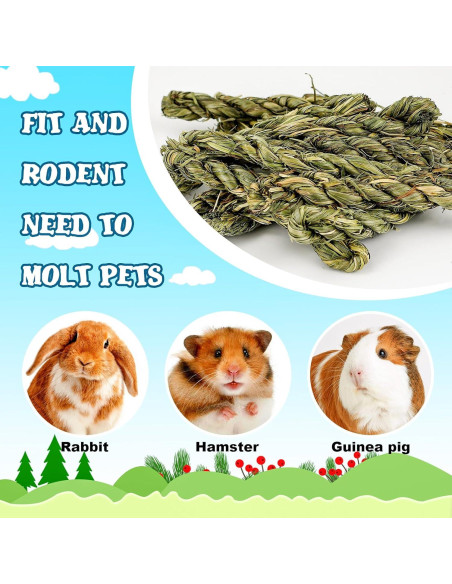 25 Palos de Heno Timothy para Conejos y Roedores - Matafat