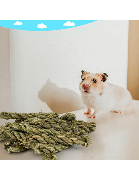 25 Palos de Heno Timothy para Conejos y Roedores - Matafat