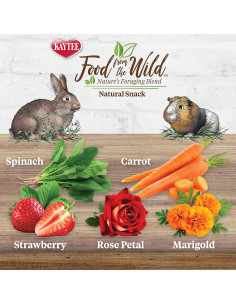 Snack Natural Kaytee para Conejos y Cobayas 28g - Sin Azúcares 2