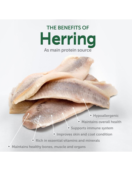 Galletas para Perros Akvatera 150g Sin Granos con Arenque