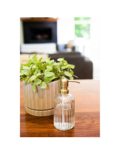 Dispensador de Jabón de Vidrio Estriado Rail19 - 354 ml 2