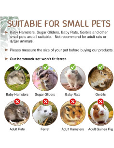 Conjunto de Hamacas para Mascotas Pequeñas Hamiledyi 5Pcs 2