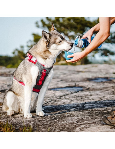 Botella de Agua Kurgo Gourd 710 ml para Perros y Tazón Desmontable