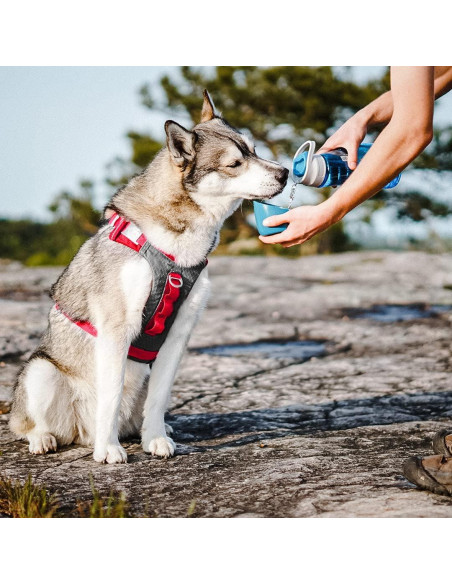 Botella de Agua Kurgo Gourd 710 ml para Perros y Tazón Desmontable
