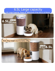 Comedero Automático GAHOGA 6.5L con Cámara 1080P y App 2