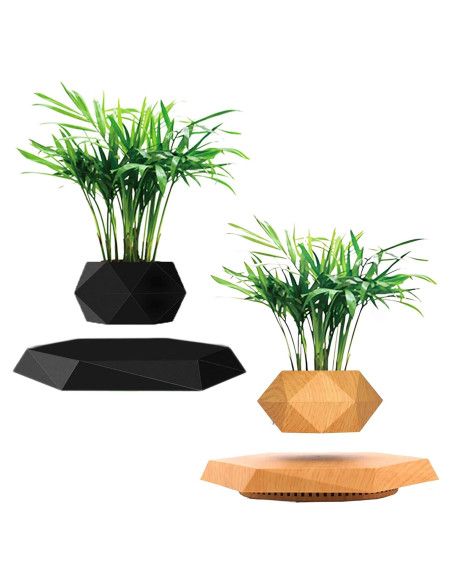 Paquete de 2 Macetas Flotantes Magnéticas 2025 para Bonsai