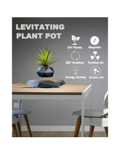 Paquete de 2 Macetas Flotantes Magnéticas 2025 para Bonsai 2