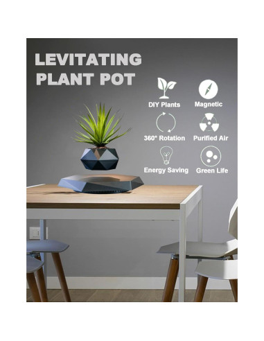 Paquete de 2 Macetas Flotantes Magnéticas 2025 para Bonsai