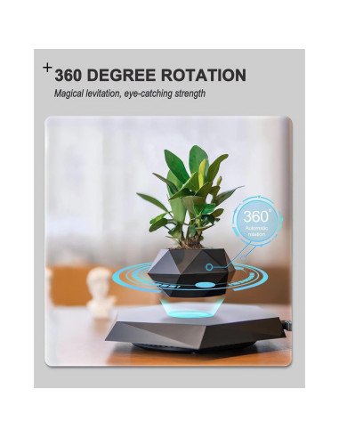 Paquete de 2 Macetas Flotantes Magnéticas 2025 para Bonsai