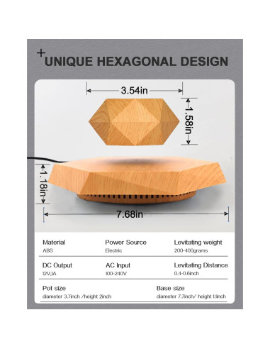 Paquete de 2 Macetas Flotantes Magnéticas 2025 para Bonsai