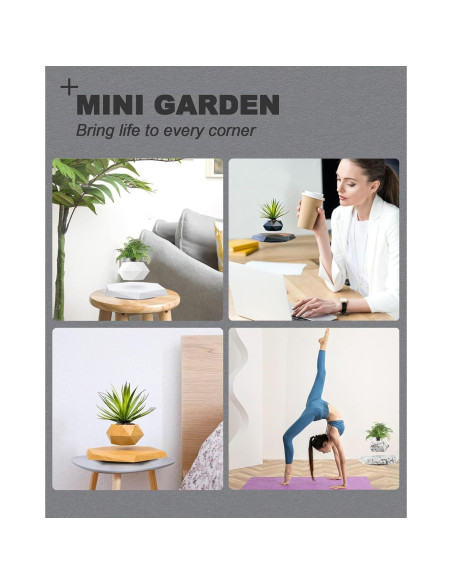 Paquete de 2 Macetas Flotantes Magnéticas 2025 para Bonsai