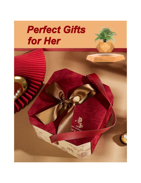 Paquete de 2 Macetas Flotantes Magnéticas 2025 para Bonsai