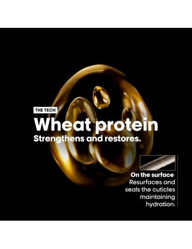 Champú Absolut Repair L'Oréal Professionnel 298.5 ml - Nutritivo