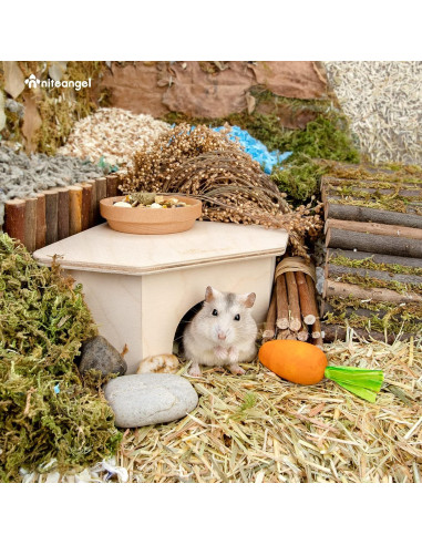 Refugio de Madera para Hámster Niteangel - Casa de Hábitat 15.9x15.8 cm