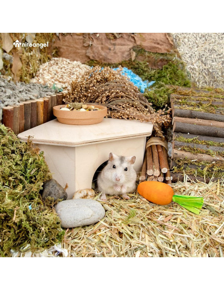 Refugio de Madera para Hámster Niteangel - Casa de Hábitat 15.9x15.8 cm