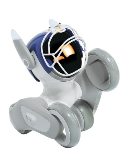 Gorro de Perro Fanático del Fútbol Azul - Accesorio de Atuendo