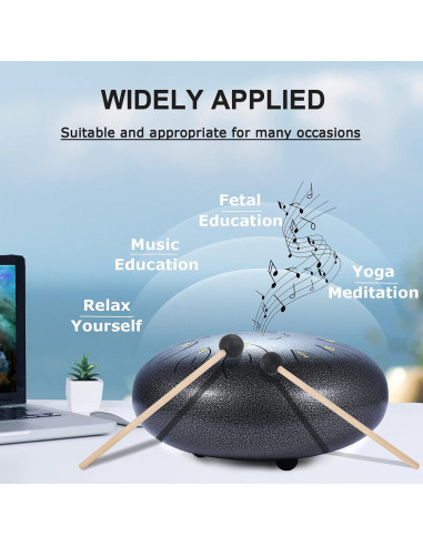 Tambor de Lengua de Acero Ranch 30.48 cm 11 Notas Clave C