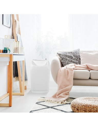 Humidificador Evaporativo AIRCARE 22.7L para 214.3m