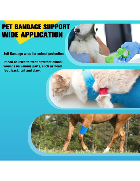 Paquete de 6 Vendajes Autoadhesivos MUESFITR 10 cm x 4.57 m Blanco