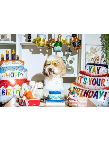 Hueso de Cumpleaños para Perros Pawty - Juguete Interactivo Rosa