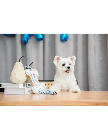 Hueso de Cumpleaños para Perros Pawty - Juguete Interactivo Rosa