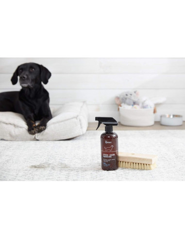 Eliminador de Manchas y Olores The Spruce 482.8 ml Enzimas Naturales