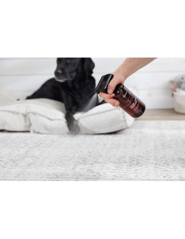 Eliminador de Manchas y Olores The Spruce 482.8 ml Enzimas Naturales