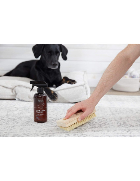 Eliminador de Manchas y Olores The Spruce 482.8 ml Enzimas Naturales