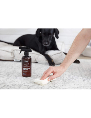 Eliminador de Manchas y Olores The Spruce 482.8 ml Enzimas Naturales