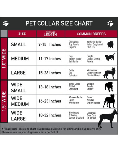 Collar Martingale para Perro Buckle-Down Toy Story 22.86-38.1 cm