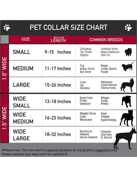 Collar Martingale para Perro Buckle-Down Toy Story 22.86-38.1 cm