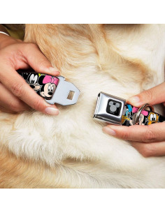 Collar para Perro Buckle-Down Disney Negro Mediano 3.81 cm 2