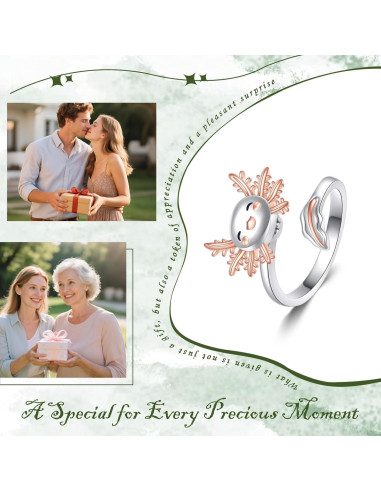 Anillo Fidget Spinner Axolote Plata Esterlina 925 Ajustable