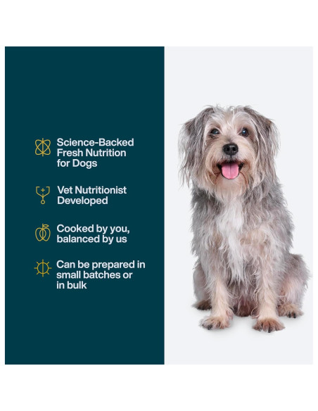 Mezcla de Nutrientes DIY JustFoodForDogs Carne de Res 129g