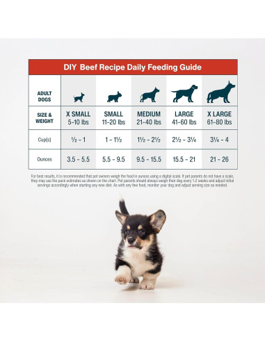 Mezcla de Nutrientes DIY JustFoodForDogs Carne de Res 129g